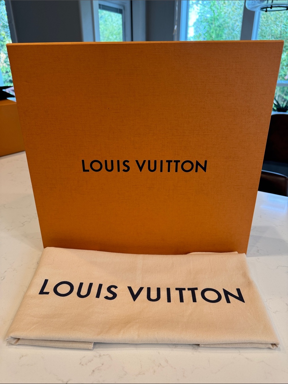 Louis Vuitton Box and Dust Bag
